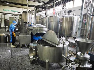 记者带你走进“七彩天香”核桃乳生产车间,看看香甜营养的核桃乳是怎么诞生的?